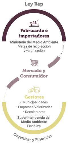 infografia-ley-rep